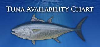 tuna availability